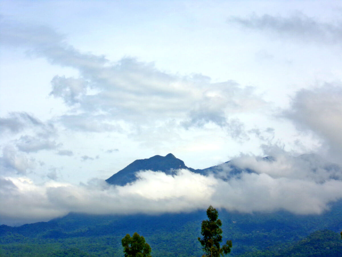O Clima de Penedo